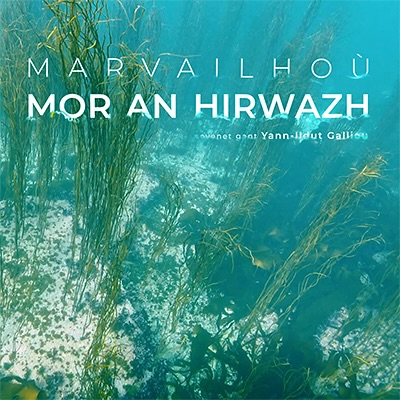 marvailhou mor an hirwazh Marvailhou mor an hirwazh